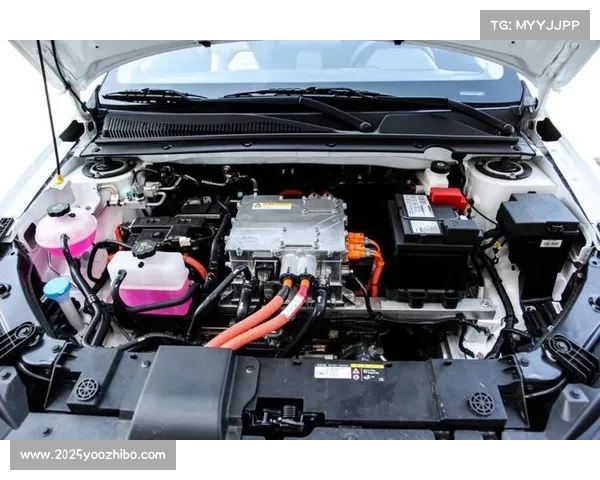 器材标准化与个性化平衡：BMX车辆改装如何影响比赛表现与安全性？